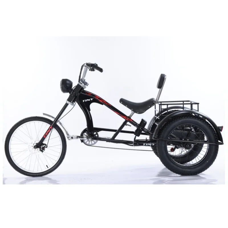 3-Wheeled Electric Tricycle for Adults, 15Ah, 30Ah, 50Ah, 350W,20 ", 3 Wheeler Electric Bicycle for Old People, Basket Ebikes