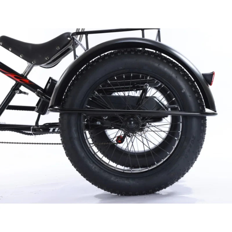 3-Wheeled Electric Tricycle for Adults, 15Ah, 30Ah, 50Ah, 350W,20 ", 3 Wheeler Electric Bicycle for Old People, Basket Ebikes