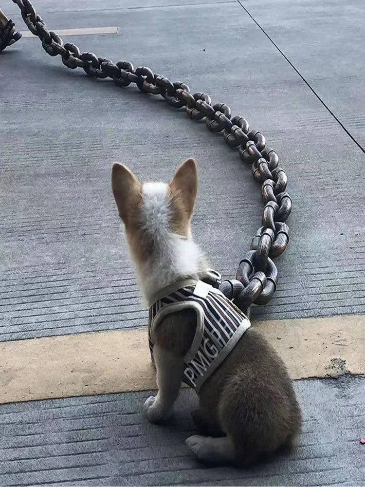 Pet traction rope, hollow plastic simulation iron chain, internet-famous funny and amusing props