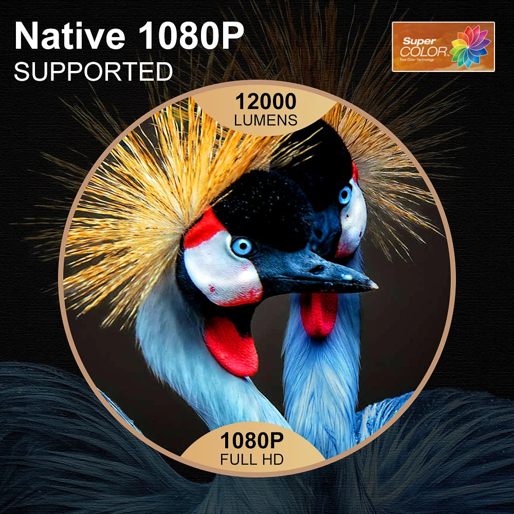 Proyector 1080P WiFi Proyector LED Full HD 2K 4K TV Video Película Teléfono inteligente Cine en casa TD98 Beamer Cine Pantalla grande
