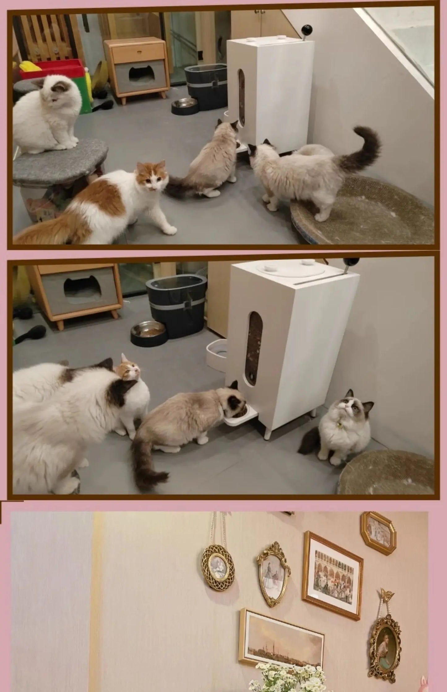 Pet Feeder Grain Storage Dogs and Cats Feeding Wooden Moisture-Proof