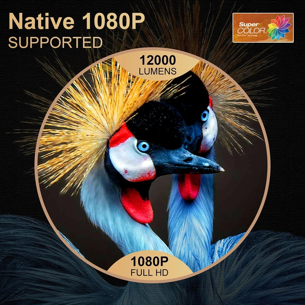 Proyector 1080P WiFi Proyector LED Full HD 2K 4K TV Video Película Teléfono inteligente Cine en casa TD98 Beamer Cine Pantalla grande