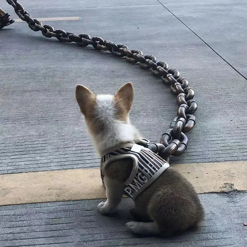 Pet traction rope, hollow plastic simulation iron chain, internet-famous funny and amusing props