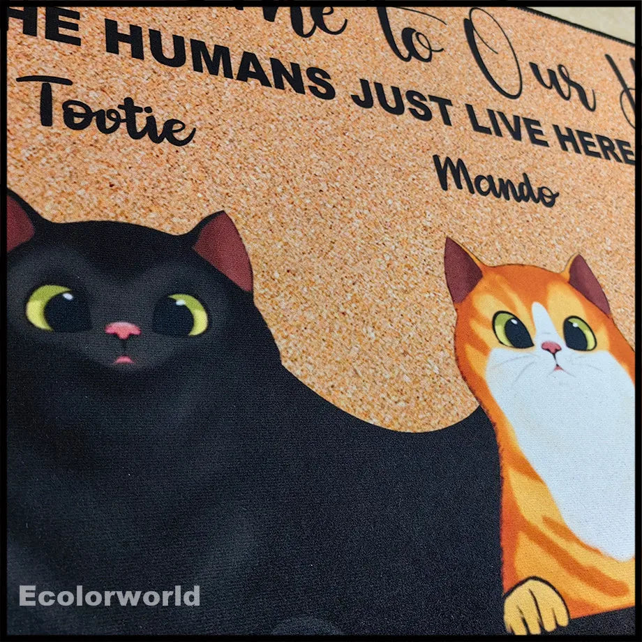 Felpudo personalizado con dibujos animados para mascotas, felpudo con nombre de perro y gato personalizado, felpudo de bienvenida a nuestro hogar, alfombras, decoración del hogar, accesorio, regalo