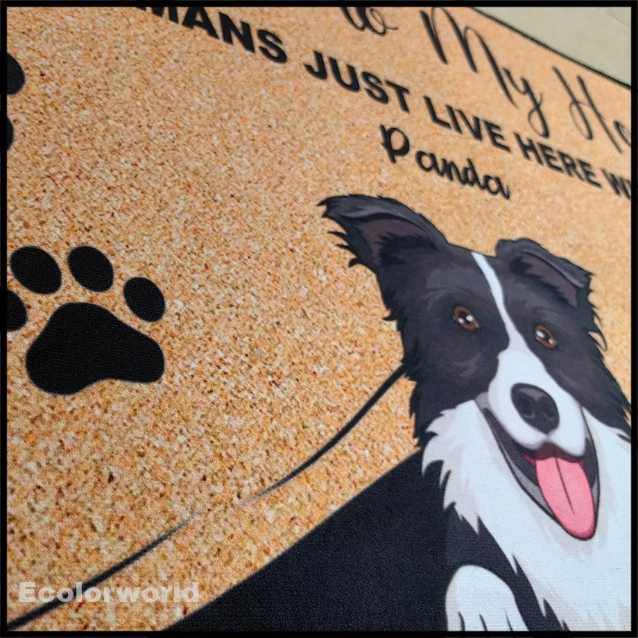 Felpudo personalizado con dibujos animados para mascotas, felpudo con nombre de perro y gato personalizado, felpudo de bienvenida a nuestro hogar, alfombras, decoración del hogar, accesorio, regalo
