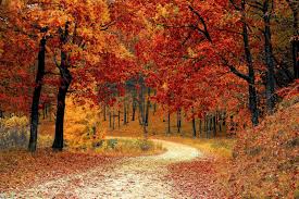 Automn