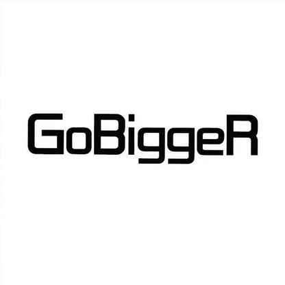 Stock Original GoBiggeR Pillbug Fidget Spread Zirconium Polished EDC Beetle Finger Spinner Anti Stress Toys