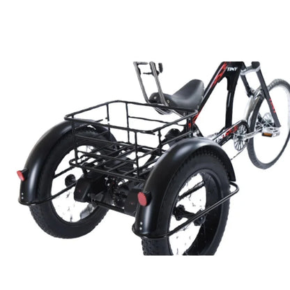 3-Wheeled Electric Tricycle for Adults, 15Ah, 30Ah, 50Ah, 350W,20 ", 3 Wheeler Electric Bicycle for Old People, Basket Ebikes