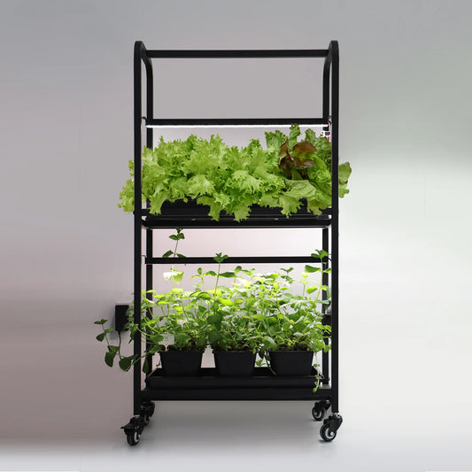 Smart Indoor Gardening System Plant Grow Light Led Herbs Planter Indoor Kit Plant Garden Stand