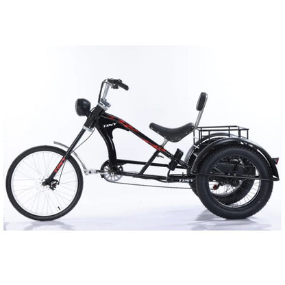 3-Wheeled Electric Tricycle for Adults, 15Ah, 30Ah, 50Ah, 350W,20 ", 3 Wheeler Electric Bicycle for Old People, Basket Ebikes