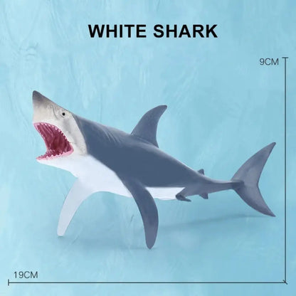 Simulation Marine Sea Life Whale Figurines Shark Cachalot Action Figures Ocean Animal Model Dolphin Hammerhead Educational Toys