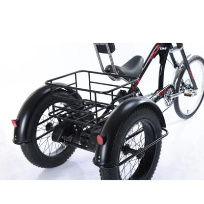 3-Wheeled Electric Tricycle for Adults, 15Ah, 30Ah, 50Ah, 350W,20 ", 3 Wheeler Electric Bicycle for Old People, Basket Ebikes