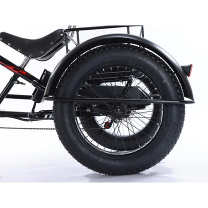 3-Wheeled Electric Tricycle for Adults, 15Ah, 30Ah, 50Ah, 350W,20 ", 3 Wheeler Electric Bicycle for Old People, Basket Ebikes