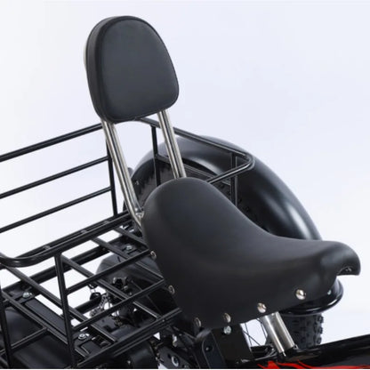 3-Wheeled Electric Tricycle for Adults, 15Ah, 30Ah, 50Ah, 350W,20 ", 3 Wheeler Electric Bicycle for Old People, Basket Ebikes
