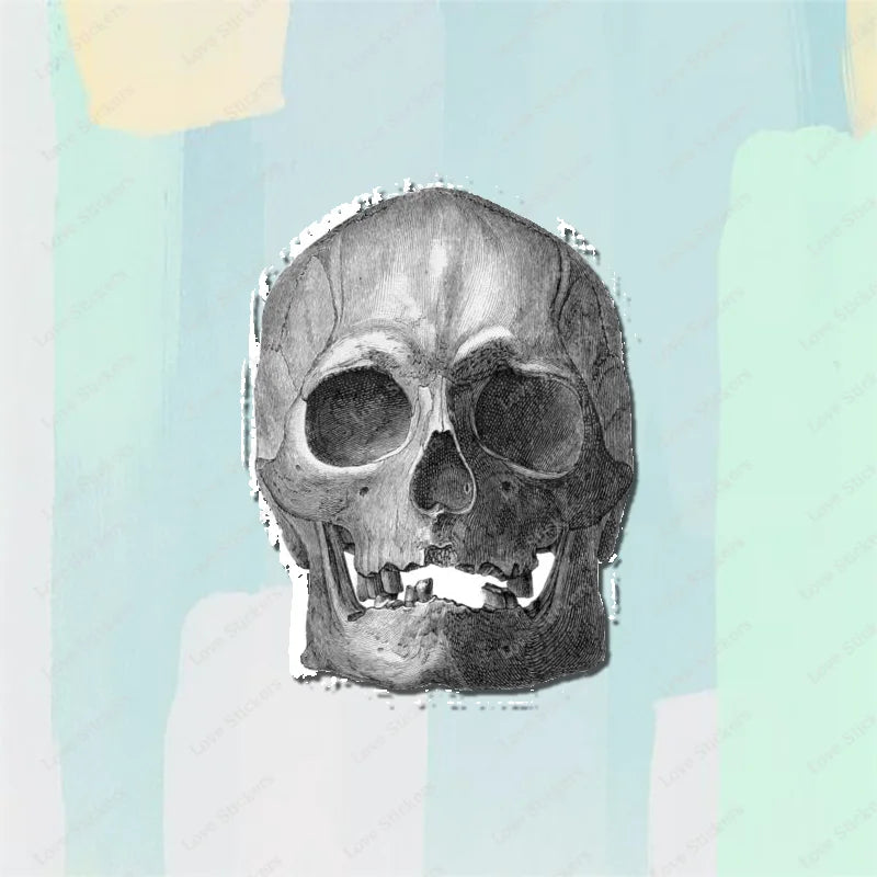 Vintage Anatomical Medical Skull Illustration 5PCS Stickers for Living Room Bumper Anime Cute Kid Car Art Print Window