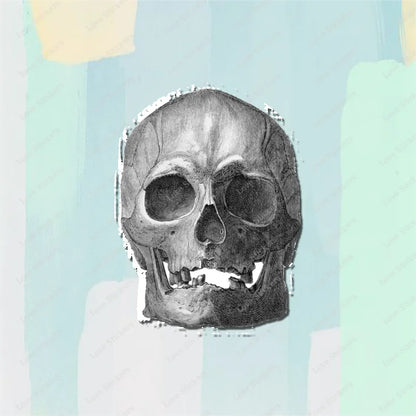 Vintage Anatomical Medical Skull Illustration 5PCS Stickers for Living Room Bumper Anime Cute Kid Car Art Print Window