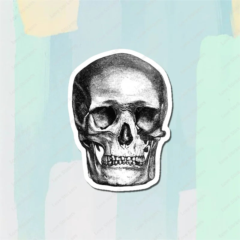 Vintage Anatomical Medical Skull Illustration 5PCS Stickers for Living Room Bumper Anime Cute Kid Car Art Print Window