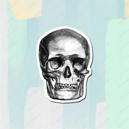 Vintage Anatomical Medical Skull Illustration 5PCS Stickers for Living Room Bumper Anime Cute Kid Car Art Print Window