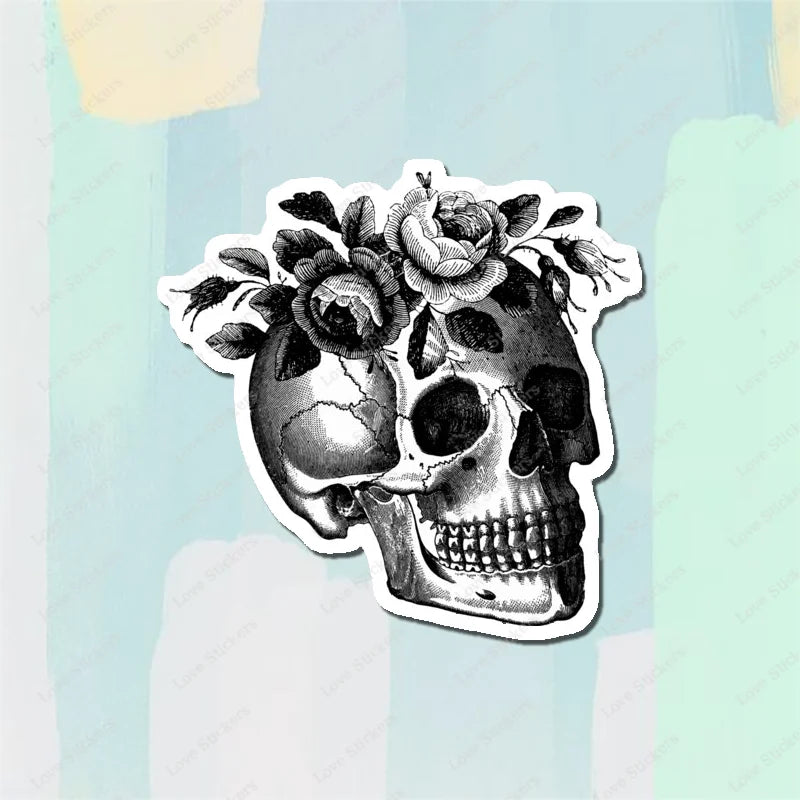Vintage Anatomical Medical Skull Illustration 5PCS Stickers for Living Room Bumper Anime Cute Kid Car Art Print Window