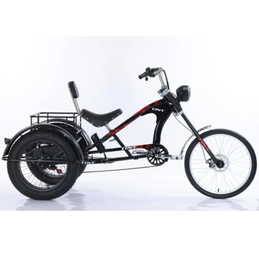 3-Wheeled Electric Tricycle for Adults, 15Ah, 30Ah, 50Ah, 350W,20 ", 3 Wheeler Electric Bicycle for Old People, Basket Ebikes