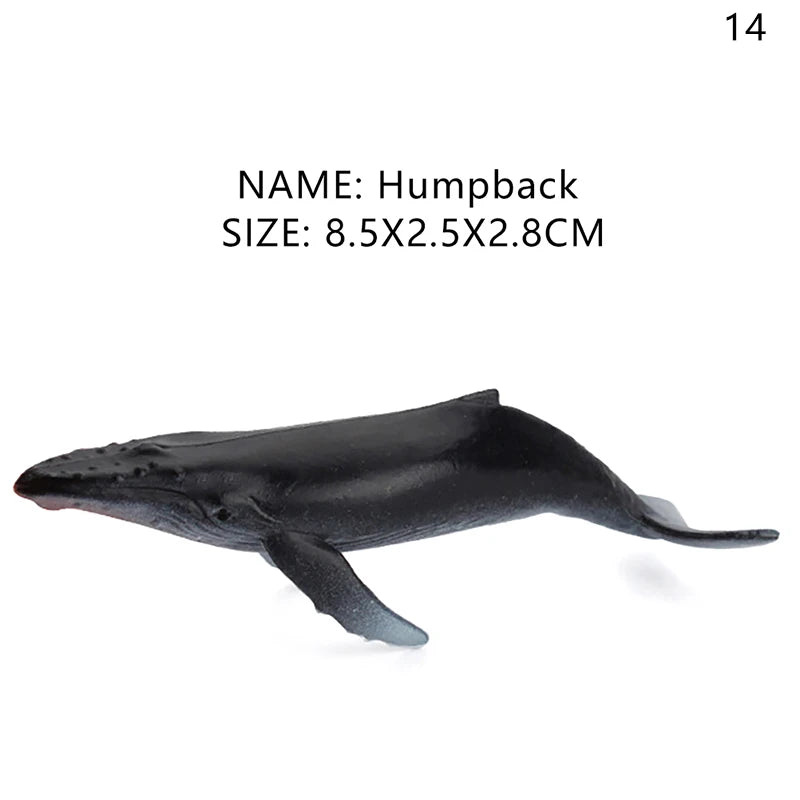 Simulation Marine Life Action Figures Ocean Animal Model Educational Toys Cake Topper,Collection Gift Shark Dolphin Hammerhead