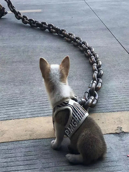 Pet traction rope, hollow plastic simulation iron chain, internet-famous funny and amusing props