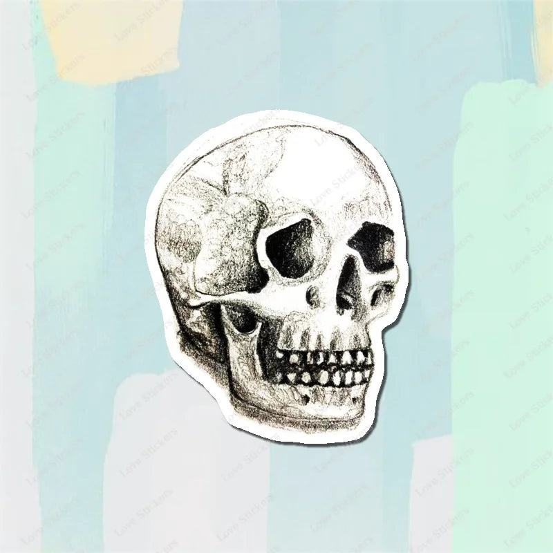Vintage Anatomical Medical Skull Illustration 5PCS Stickers for Living Room Bumper Anime Cute Kid Car Art Print Window