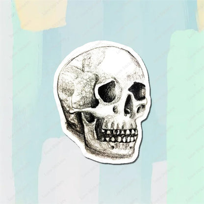 Vintage Anatomical Medical Skull Illustration 5PCS Stickers for Living Room Bumper Anime Cute Kid Car Art Print Window