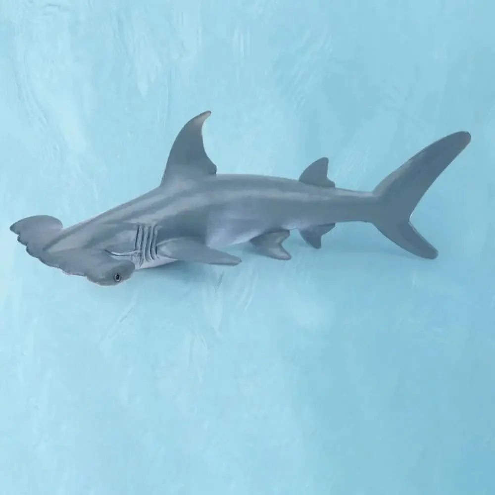 Simulation Marine Sea Life Whale Figurines Shark Cachalot Action Figures Ocean Animal Model Dolphin Hammerhead Educational Toys