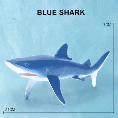 Simulation Marine Sea Life Whale Figurines Shark Cachalot Action Figures Ocean Animal Model Dolphin Hammerhead Educational Toys