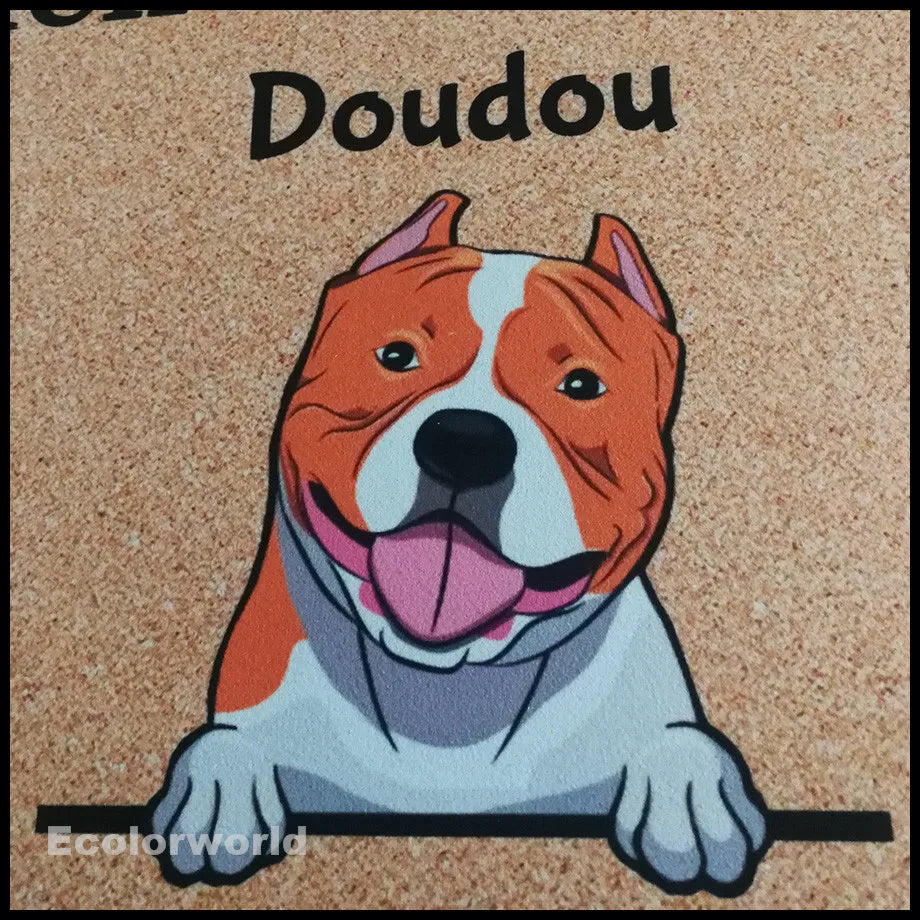 Personalized Pet Mat Custom Welkom Bij Dog Cat Doormat Rug Floor Mats Carpet Home Decor Accessory Pets Owners Lovers Gift