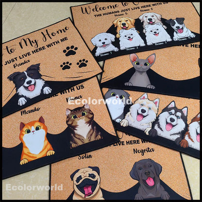 Felpudo personalizado con dibujos animados para mascotas, felpudo con nombre de perro y gato personalizado, felpudo de bienvenida a nuestro hogar, alfombras, decoración del hogar, accesorio, regalo