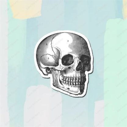 Vintage Anatomical Medical Skull Illustration 5PCS Stickers for Living Room Bumper Anime Cute Kid Car Art Print Window