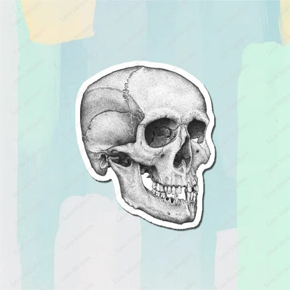 Vintage Anatomical Medical Skull Illustration 5PCS Stickers for Living Room Bumper Anime Cute Kid Car Art Print Window