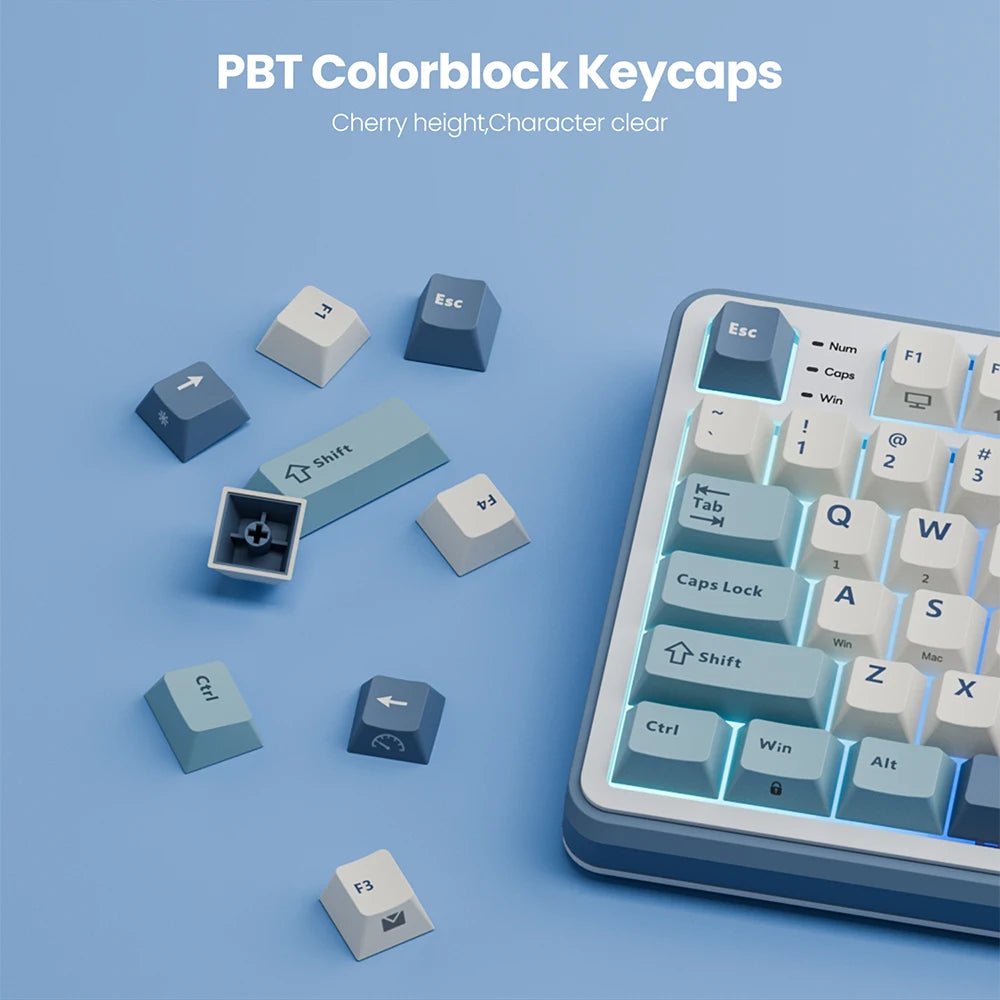 RK ROYAL KLUDGE S98 Mechanical Keyboard Top Mount TFT Screen 98 Keys RGB BT5.0/2.4G/USB-C Wireless Gamer Keyboard Hot Swappable