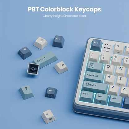 RK ROYAL KLUDGE S98 Mechanical Keyboard Top Mount TFT Screen 98 Keys RGB BT5.0/2.4G/USB-C Wireless Gamer Keyboard Hot Swappable
