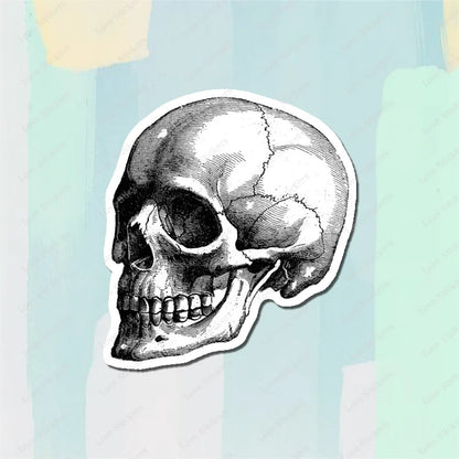 Vintage Anatomical Medical Skull Illustration 5PCS Stickers for Living Room Bumper Anime Cute Kid Car Art Print Window
