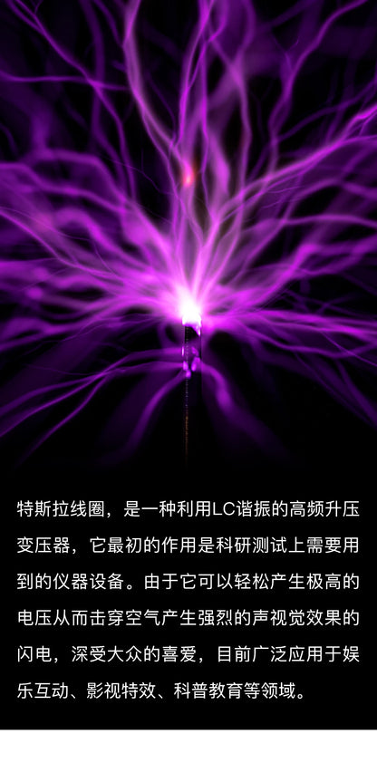 Tesla Coil in the Palm of Lightning Vinyl Disc Plate New Science Experiment Tools Music Can Be Touched Static Electricity