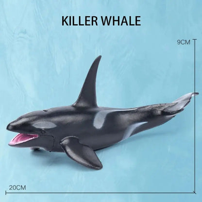 Simulation Marine Sea Life Whale Figurines Shark Cachalot Action Figures Ocean Animal Model Dolphin Hammerhead Educational Toys