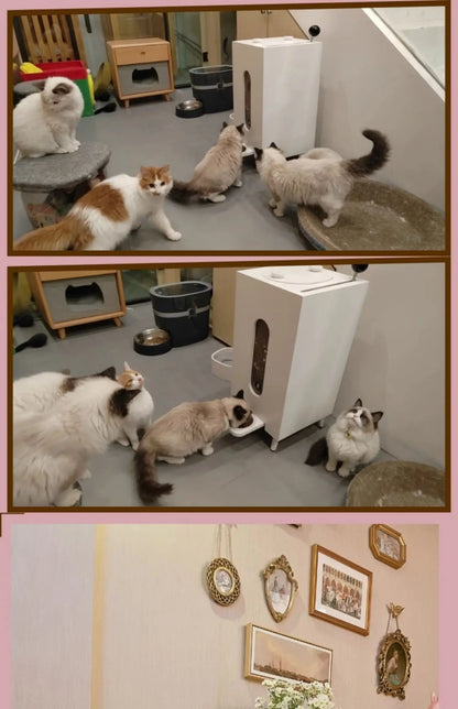 Pet Feeder Grain Storage Dogs and Cats Feeding Wooden Moisture-Proof