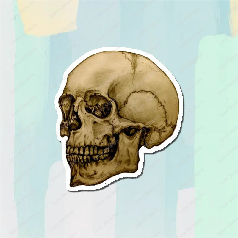 Vintage Anatomical Medical Skull Illustration 5PCS Stickers for Living Room Bumper Anime Cute Kid Car Art Print Window