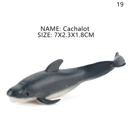 Simulation Marine Life Action Figures Ocean Animal Model Educational Toys Cake Topper,Collection Gift Shark Dolphin Hammerhead