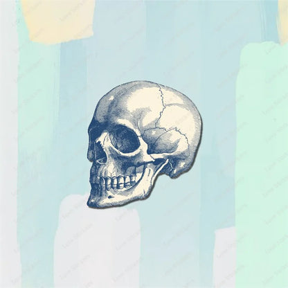 Vintage Anatomical Medical Skull Illustration 5PCS Stickers for Living Room Bumper Anime Cute Kid Car Art Print Window