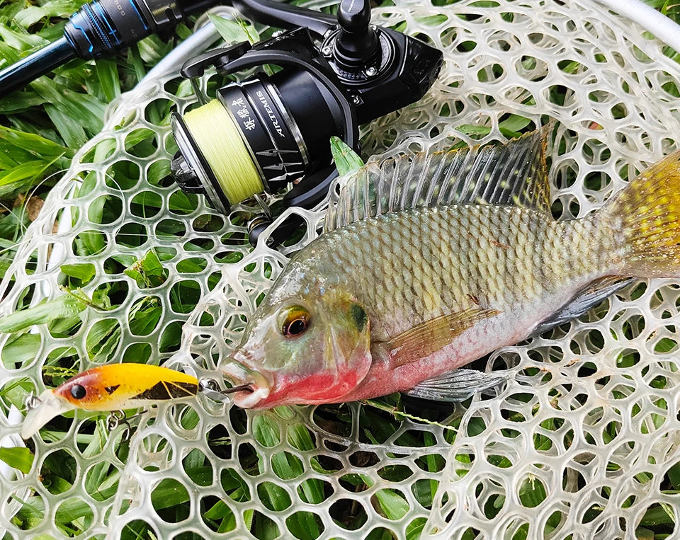 TSURINOYA NEW Spinning Fishing Reel ARTEMIS 800 1500S 2500SH 3000SH Shallow Spool Versatile Long Casting Reel High Speed Wheel