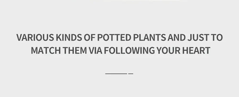 Simulation Succulents Flowers Bricks Plants Bonsai Cactus Aloe Vera DIY Assembled Toy Building Blocks Creative Kids Toys Gift