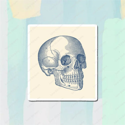Vintage Anatomical Medical Skull Illustration 5PCS Stickers for Living Room Bumper Anime Cute Kid Car Art Print Window