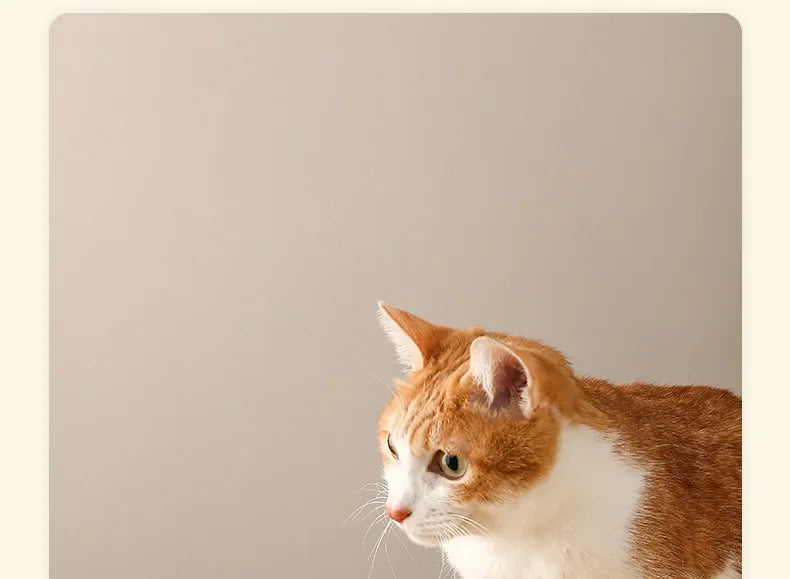 Slow Feeder Cat Bowl Ceramic Cat Food Bowl for Cervical Spine Protection Anti-choking Cat Slow Feeding Dish Bowl Pet Supplies