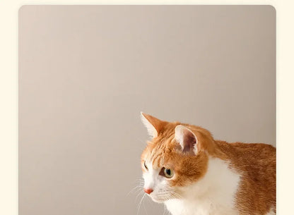 Slow Feeder Cat Bowl Ceramic Cat Food Bowl for Cervical Spine Protection Anti-choking Cat Slow Feeding Dish Bowl Pet Supplies