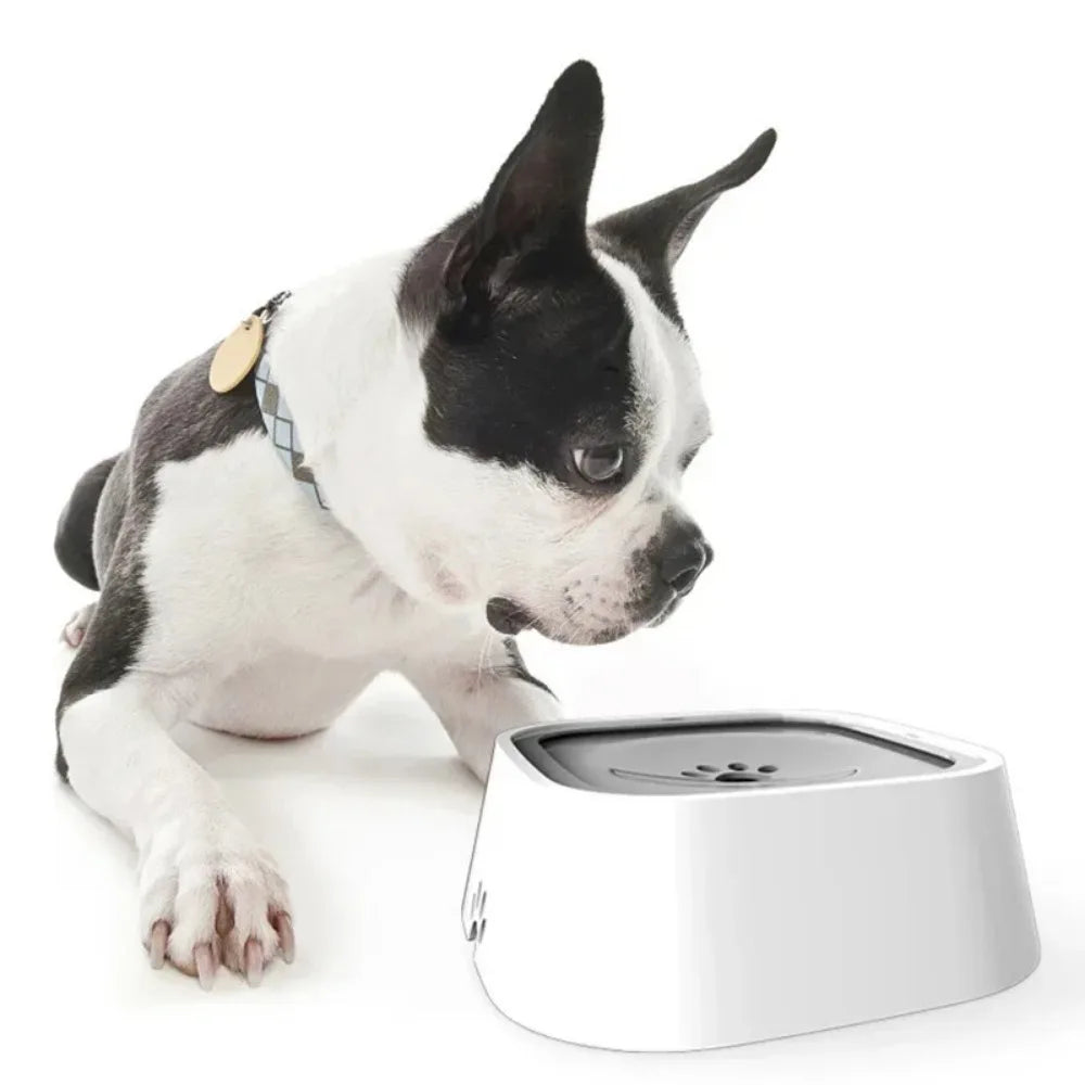 No Spill Water Bowl Dogs Slow Feeder Drinking Water Bowl for Messy Drinkers No Drip No Splash Water Bowl for Pets