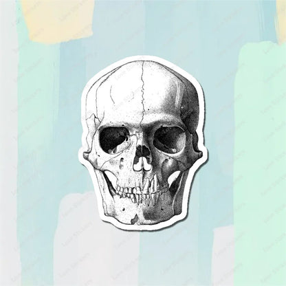 Vintage Anatomical Medical Skull Illustration 5PCS Stickers for Living Room Bumper Anime Cute Kid Car Art Print Window